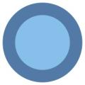 BlueMelon logo