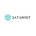 dataroot_solutions_logo