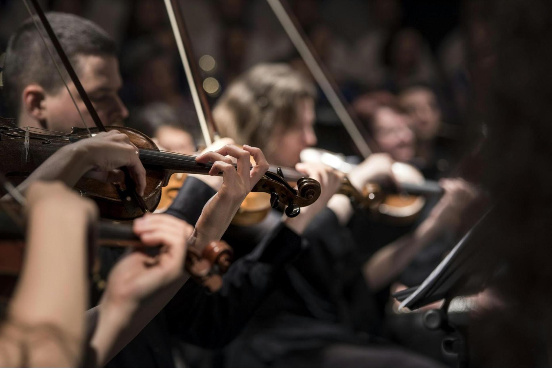 Orchestra playing, mostly violins in close up. Image credits and source unknown. Found several reuses of the image since early 2015. Probably in public domain. 