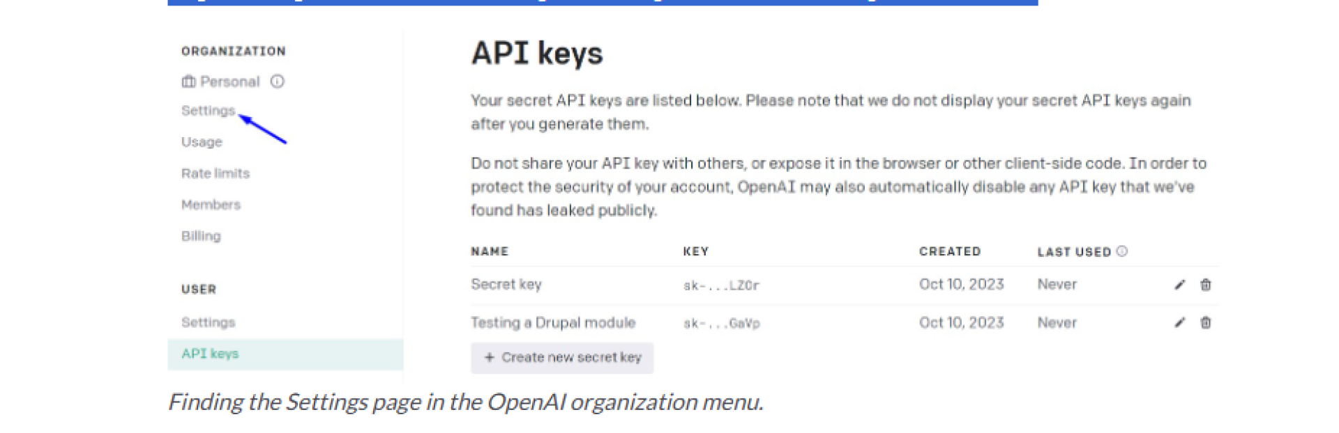 Open AI Module