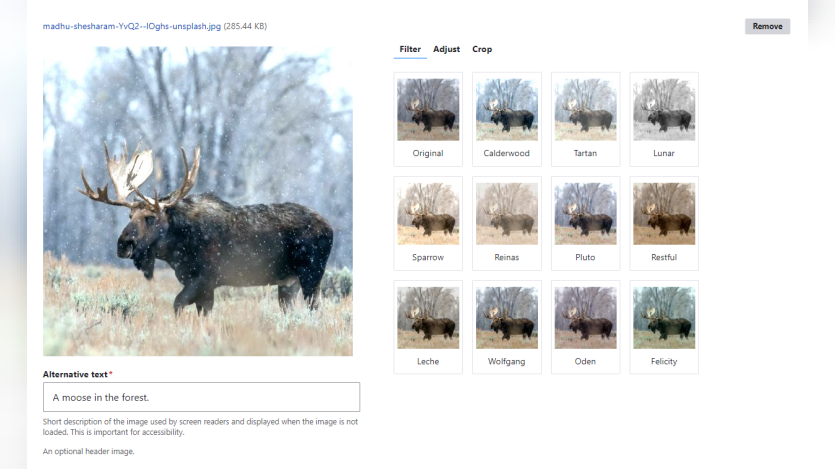bookish image filter