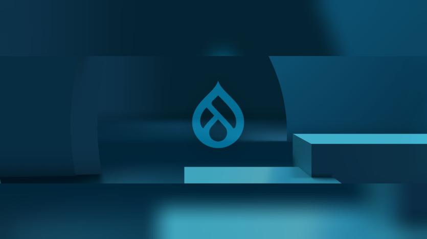 Drupal Initiatives Banner