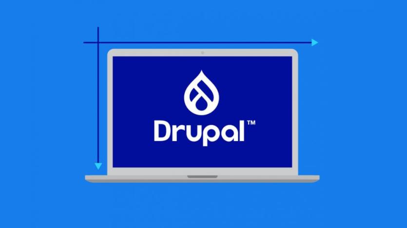 The term Drupal and its logo