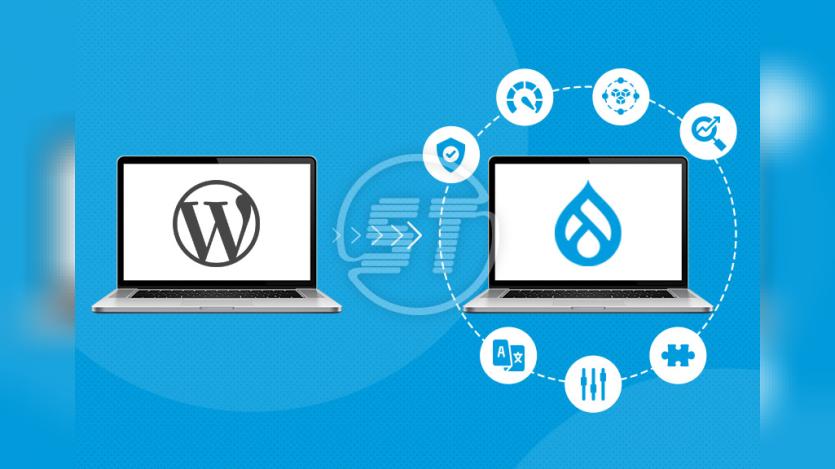 WordPress to Drupal Migration