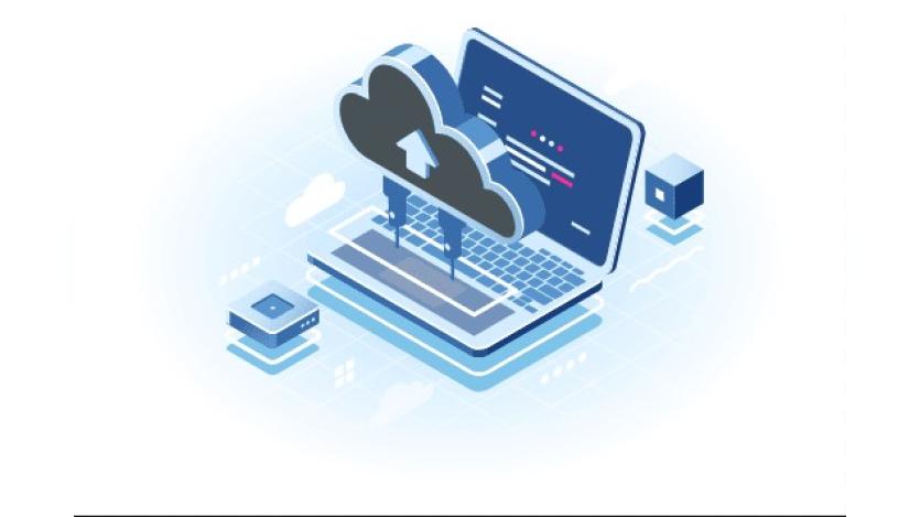 Drupal Website Backups