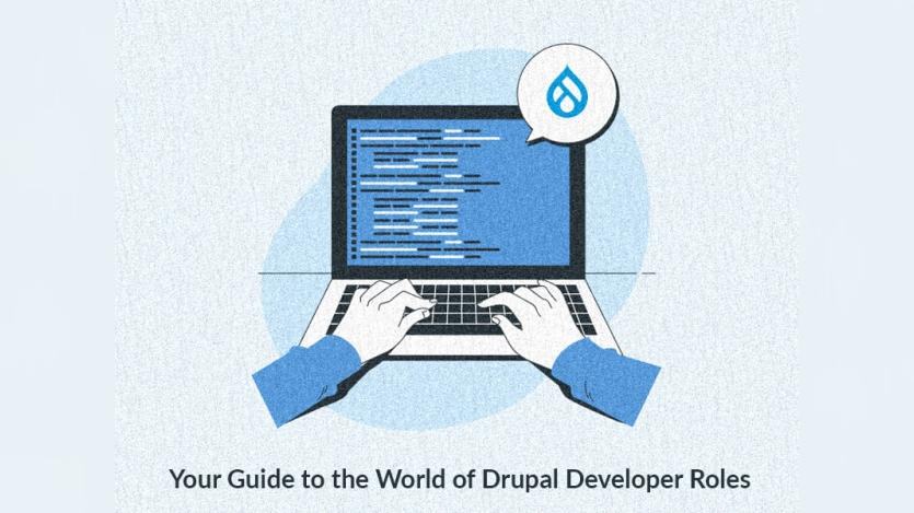 your guide to the world of Drupal developer roles