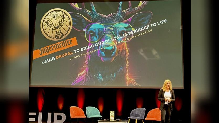 Andrea Ostheer presenting at DrupalCon Lille