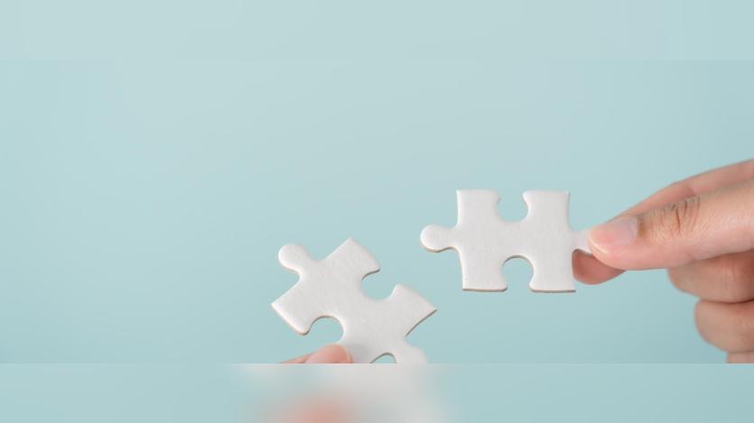 PUZZLE PIECES