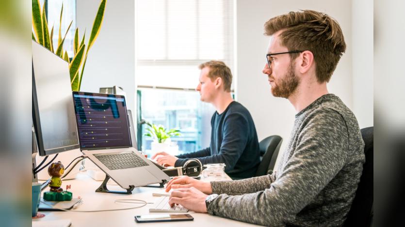 software developer
