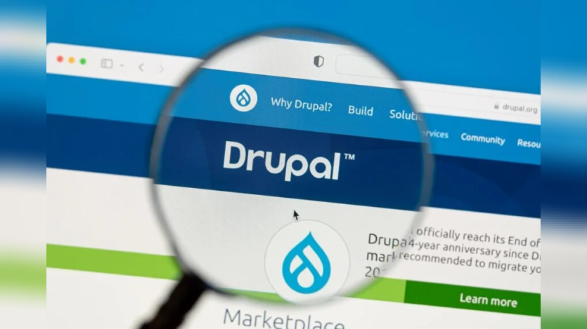 drupal.org image