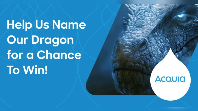 Name the Dragon