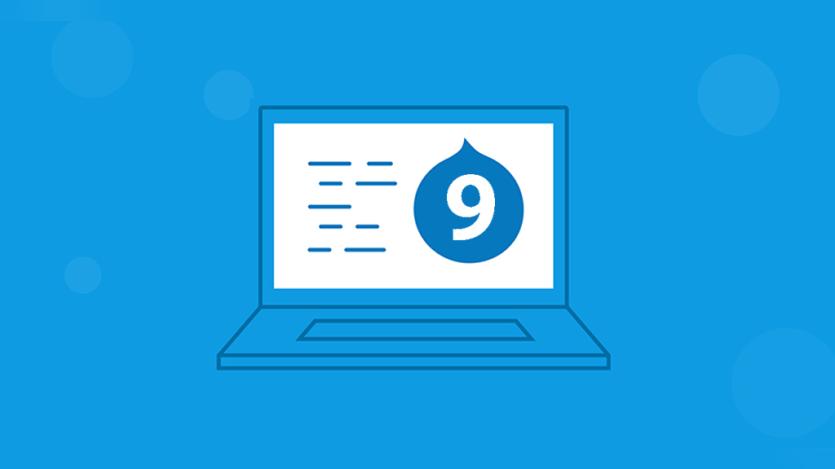 Efficiently Delete Multiple Path Aliases for Published Nodes in Drupal 9