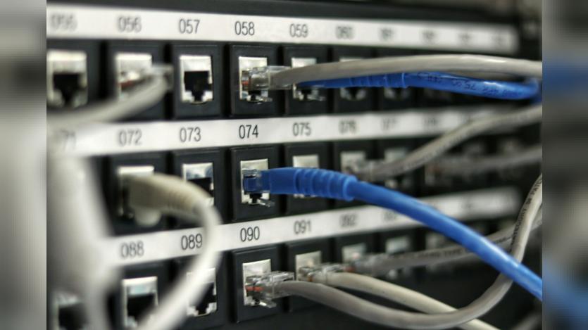 Data cables plugged into a server or load balancer