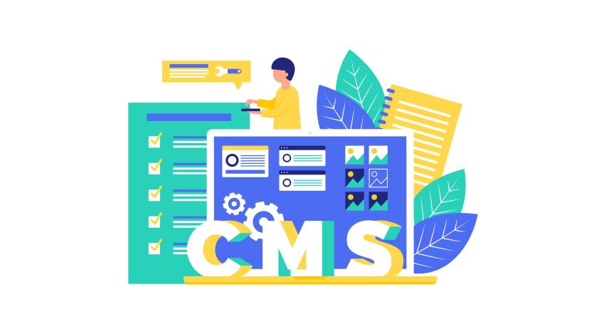 Web Development CMS illustration