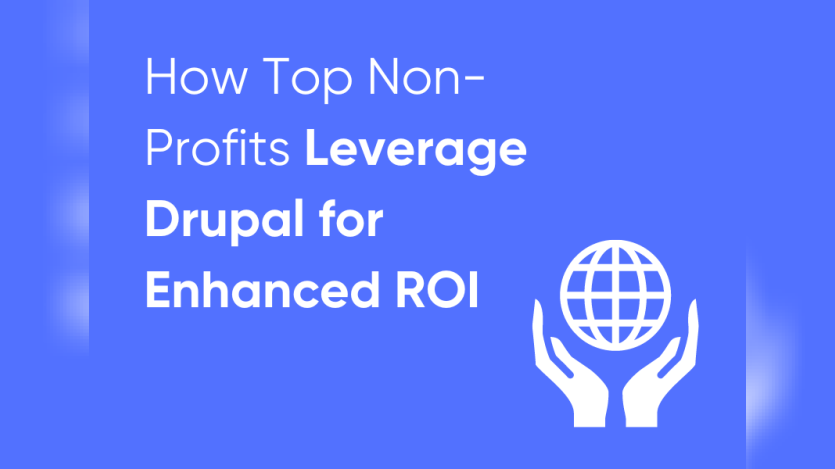 How Top Non-Profits Leverage Drupal for Enhanced ROI