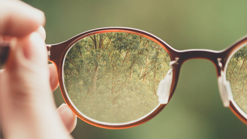 Glasses