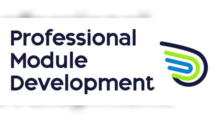 professional-module-development-summer-2025 Logo