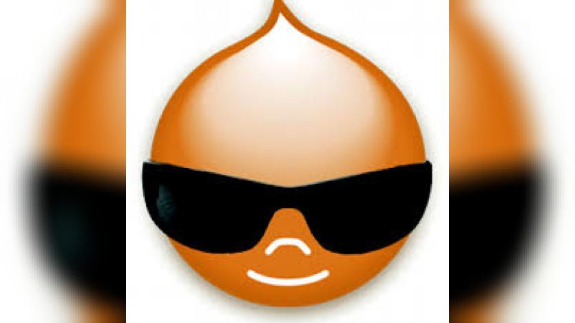 broward-drupal-meetup-florida-drupalcamp-2025-review-wed-march-12th-2025 Logo