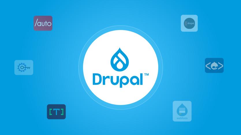 Metadrop Launches VLSuite for Fast, Low-Code Page Building in Drupal