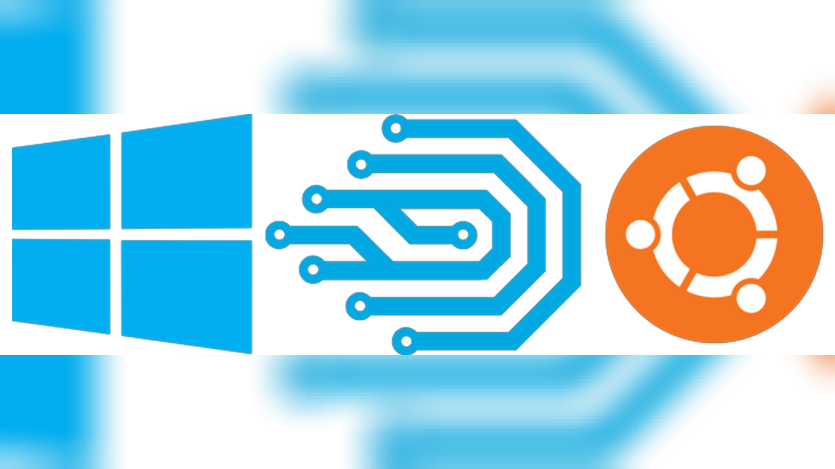 DDEV Launches GUI Installer for Windows: Set Up WSL2 and Docker in 10 Minutes