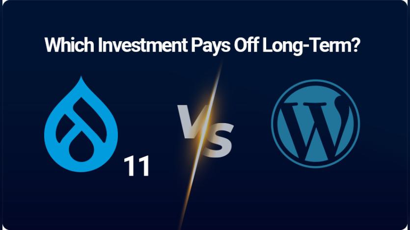 D11 Upgrade vs WordPress Switch: Which Investment Pays Off Long-Term?