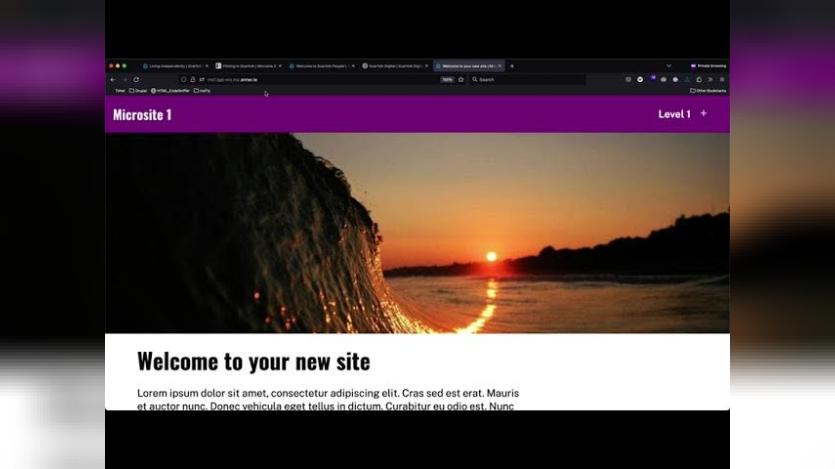 Microsite 1