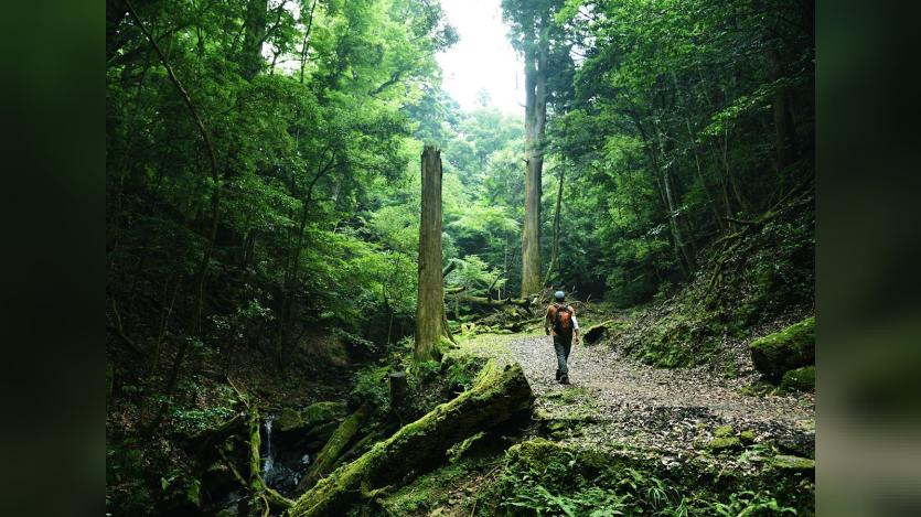 a man hiking