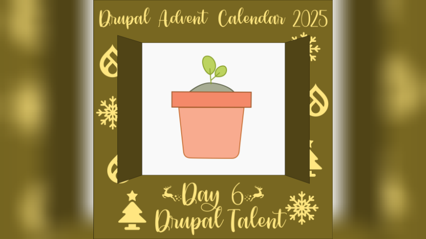 Drupal Advent Calendar Day 6: Dropsolid’s Creative Approach to Talent Building