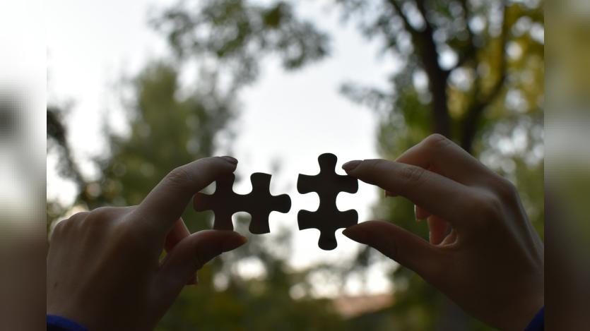 Female hands holding 2 pieces of the puzzle in the background of trees