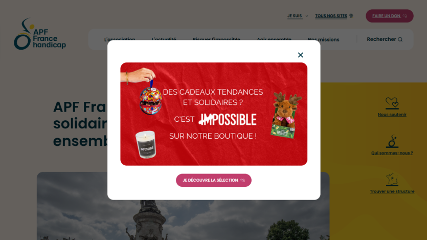 apf-francehandicap.org