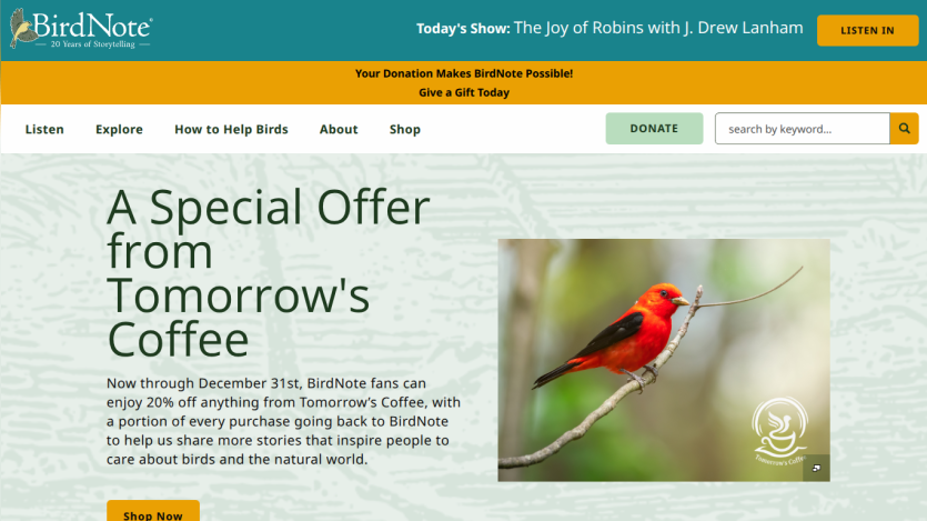BirdNote website promoting a special offer from Tomorrow's Coffee with 20% off and donation support, featuring a red bird on a branch