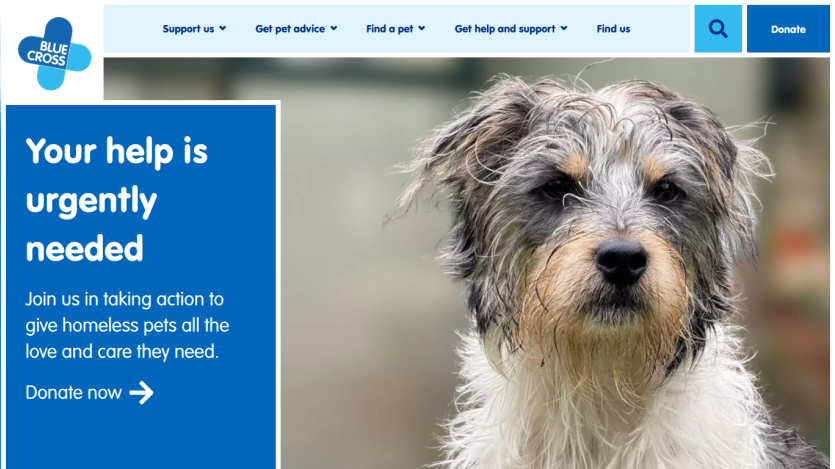Urgent call for help to support homeless pets with a donation button.