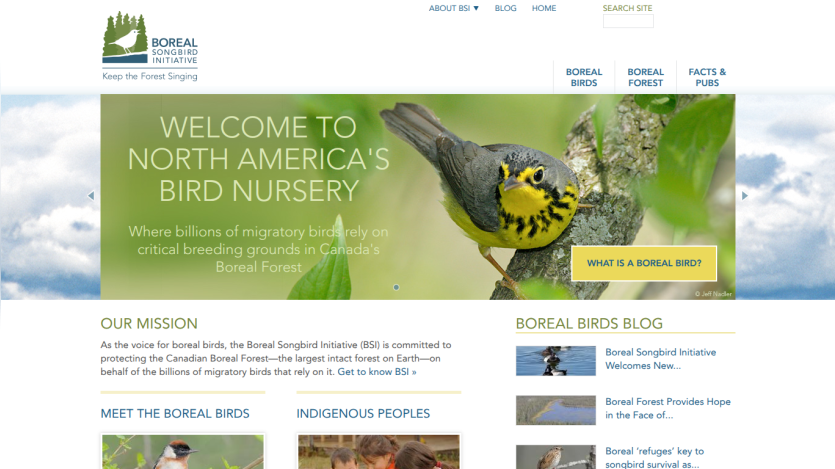 Homepage with navigation bar, large hero image of a mountain landscape, and headline 'Explore the World Outdoors'