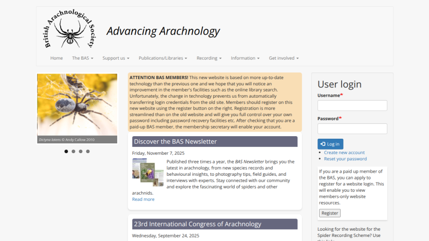 British Arachnological Society homepage with navigation, spider image, member notice, newsletter info, and user login section.