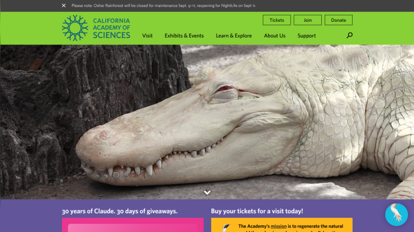 Homepage of California Academy of Sciences featuring an alligator and navigation options.