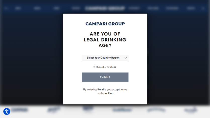 camparigroup.com