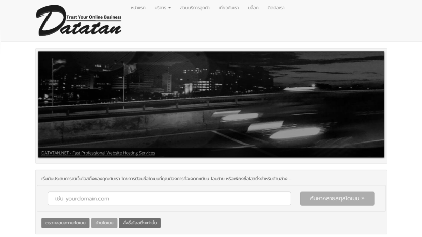 Datatan website offering fast professional hosting services with domain search and management options