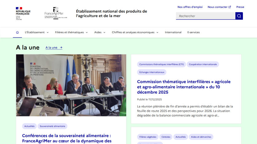 Homepage with a blue header, navigation menu, and a hero section featuring a large image and headline text