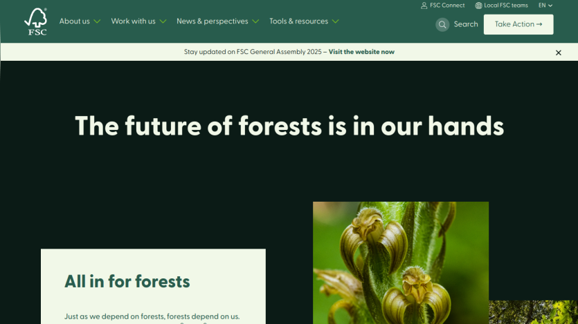 Main message about the future of forests with a call to action for forest conservation.