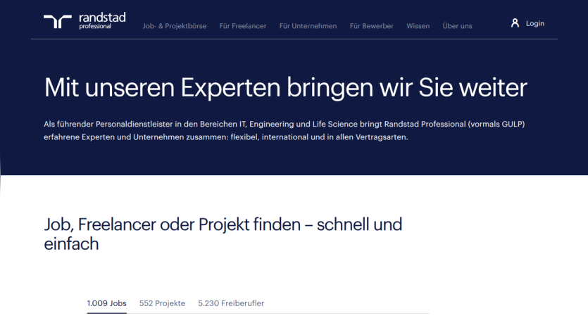 Website header with a tagline about expert services and a job search prompt.