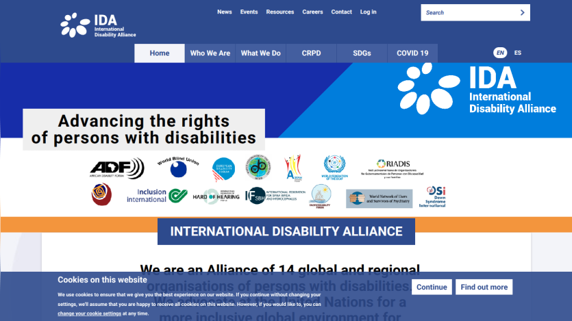 internationaldisabilityalliance.org