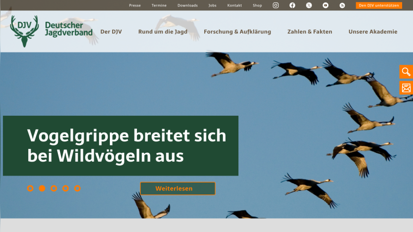 Deutscher Jagdverband website with navigation and headline about bird flu spreading among wild birds