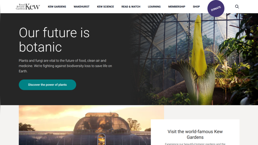 Homepage featuring a botanical theme with a call to action about the power of plants.