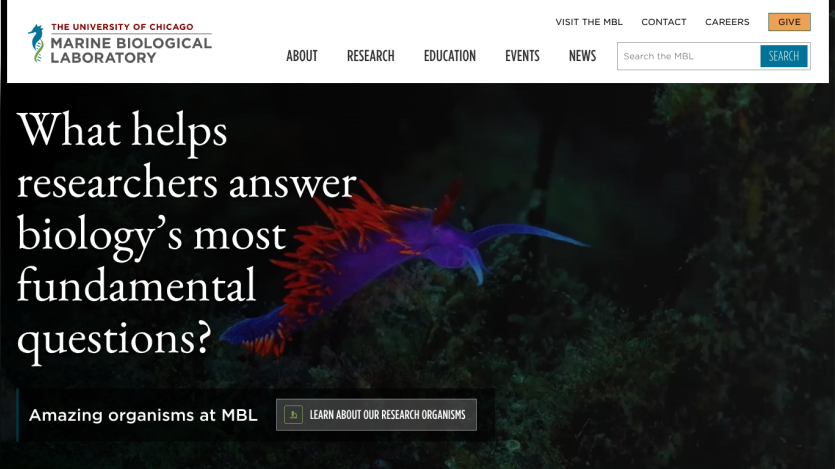 Homepage of the Marine Biological Laboratory featuring a question about biology research.