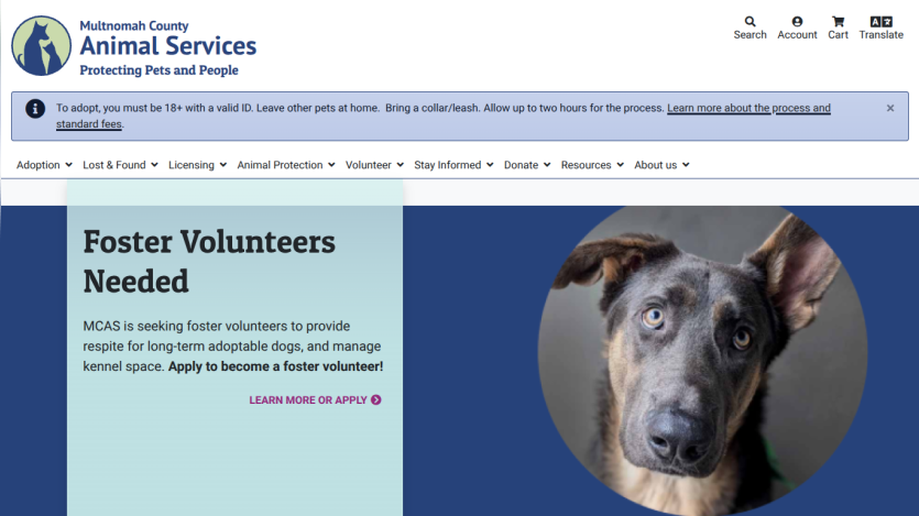 Multnomah County Animal Services page seeking foster volunteers with dog photo and navigation menu.