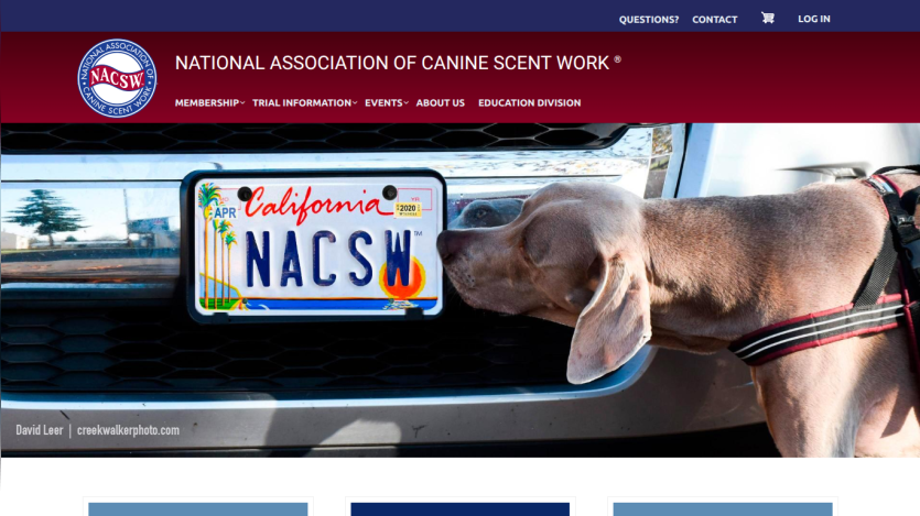 National Association of Canine Scent Work website with navigation and a dog sniffing a car license plate