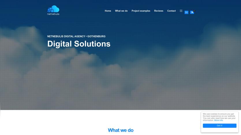 netnebulis.com