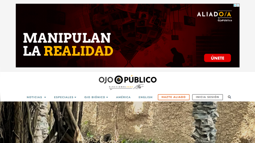 Ojo Público news site header with navigation and a large hero image of a tree trunk and wall