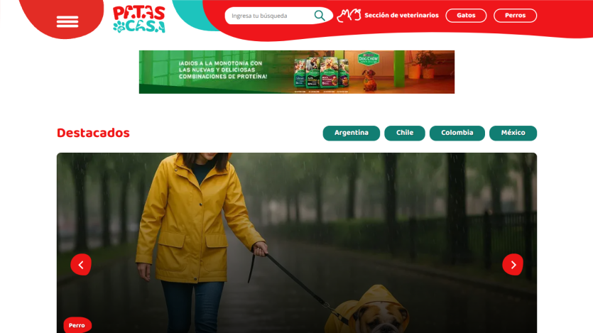 Pet care website with search bar, navigation for cats and dogs, and featured section showing a person walking a dog in rain