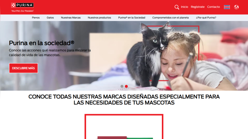 Purina website top section showing navigation, a girl drawing with a cat, and text about Purina's actions to improve pet quality of life.